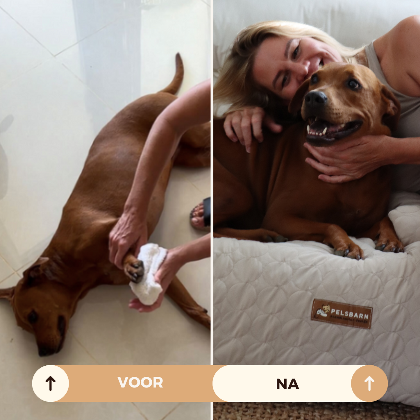 Verkoelend Honden Bed - Lichtblauw