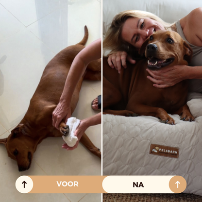 Verkoelend Honden Bed - Lichtblauw