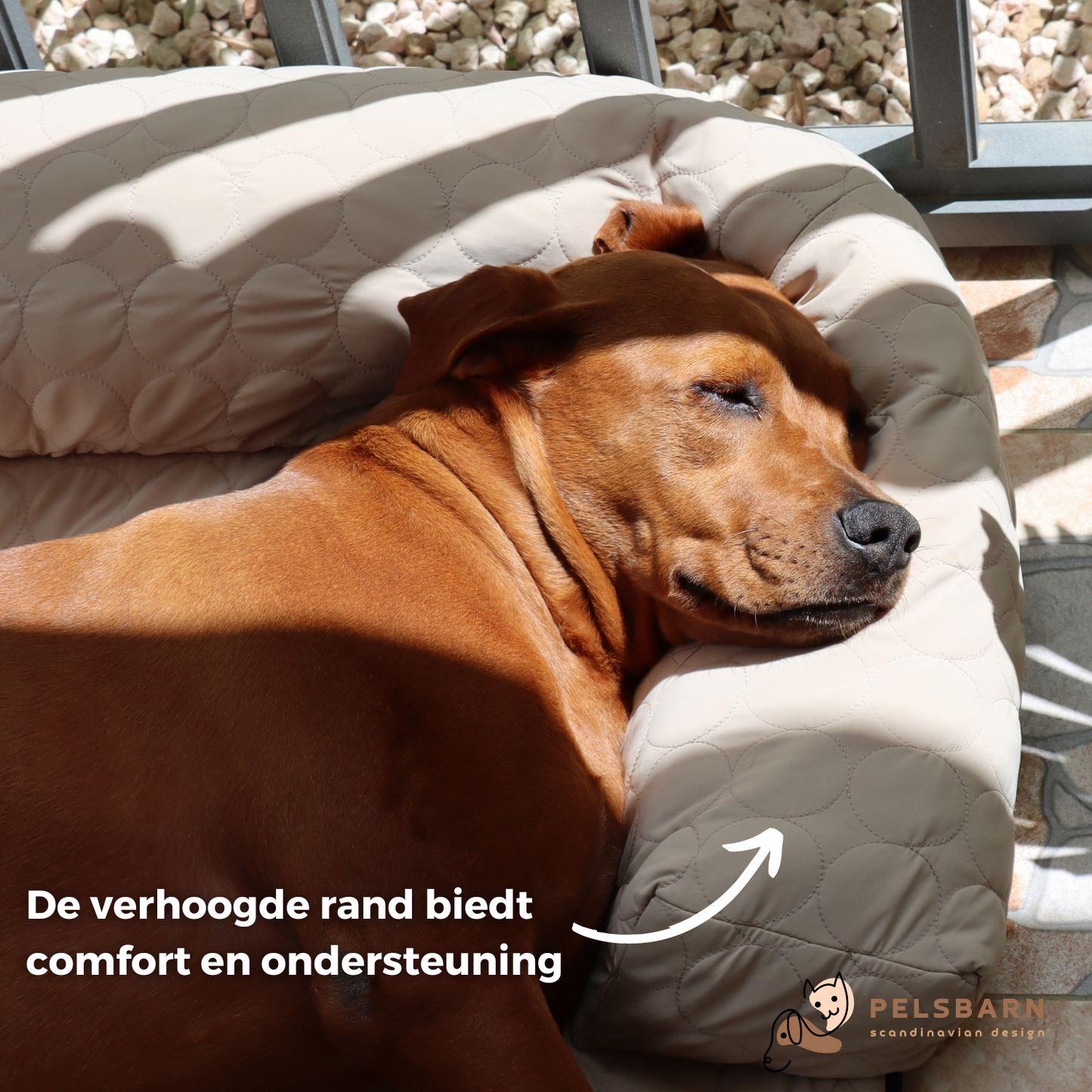 Verkoelend Honden Bed - Lichtblauw