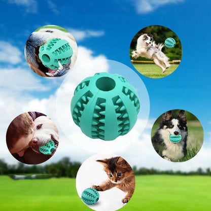 Hond kauw rubberen bal