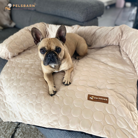 Verkoelend Honden Bed - Lichtblauw