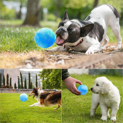 Magische bal voor honden