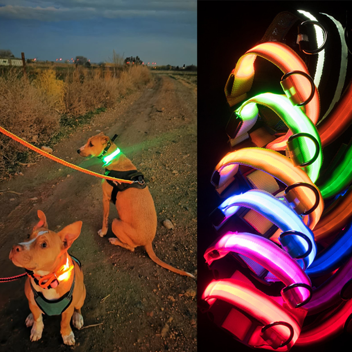 LED-halsband voor huisdieren