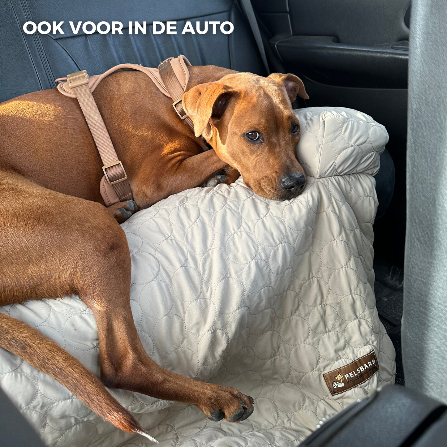 Verkoelend Honden Bed - Lichtblauw