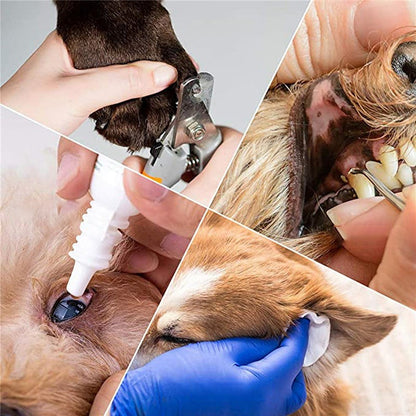Hond Kat Hangmat