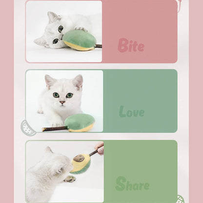 Kattenspeelgoed Set Fruitvormen - Interactief Speelgoed - 6-Delig