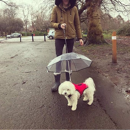 DogPlu™ | Dé Oplossing voor Regenwandelingen.