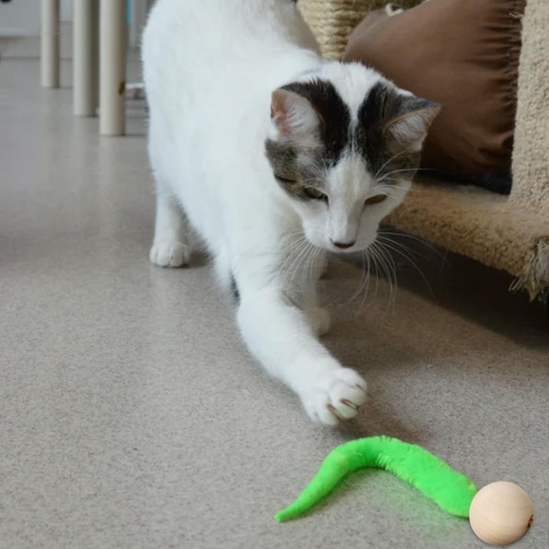 Wiggly Kattenspeelgoed met Bellen