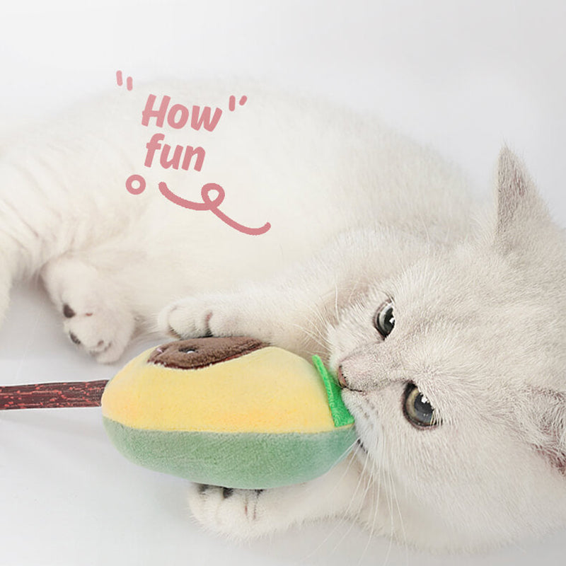 Kattenspeelgoed Set Fruitvormen - Interactief Speelgoed - 6-Delig