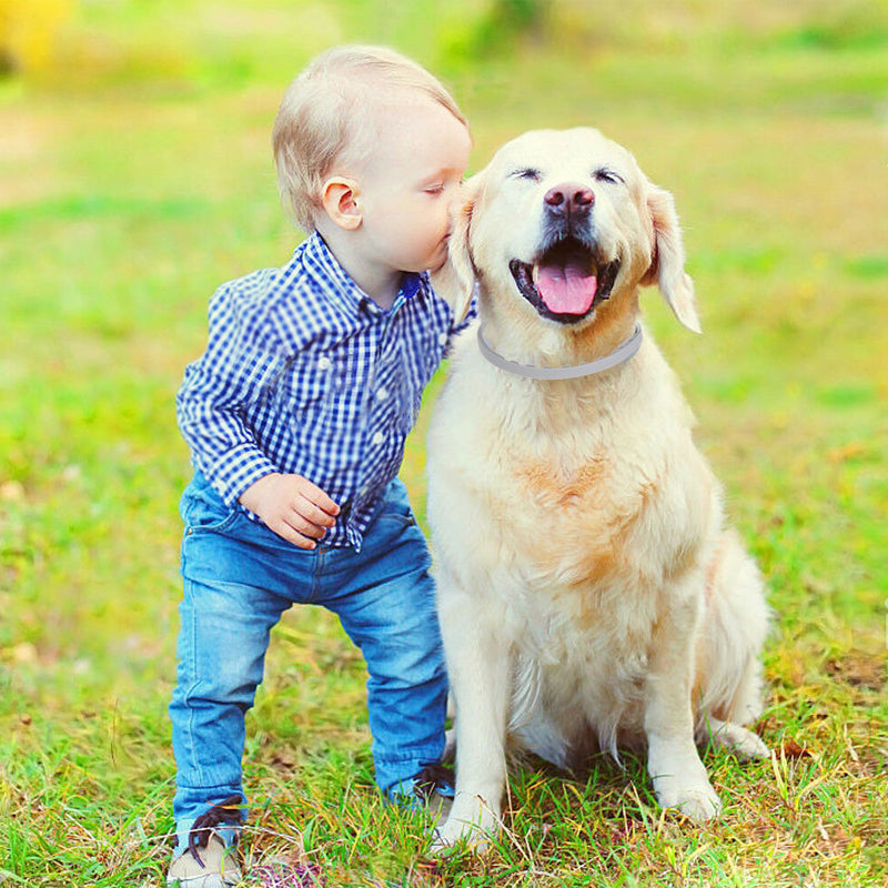 Pro Guard vlooien- en tekenhalsband voor honden