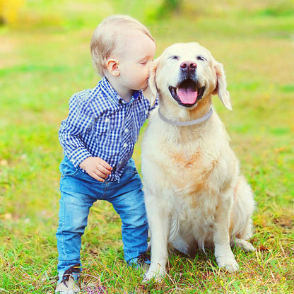 Pro Guard vlooien- en tekenhalsband voor honden