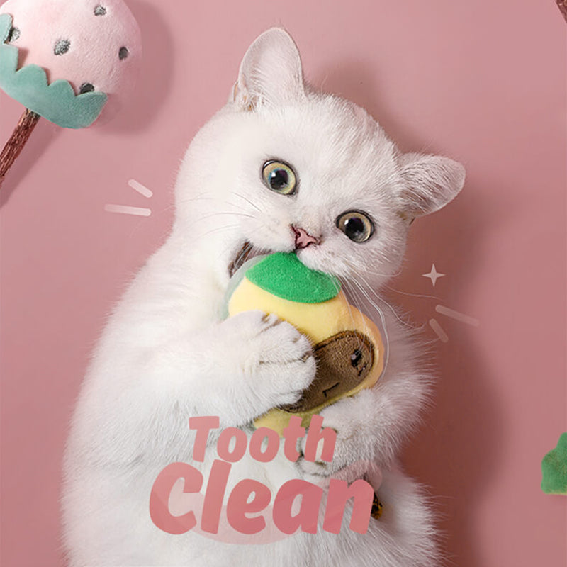 Kattenspeelgoed Set Fruitvormen - Interactief Speelgoed - 6-Delig