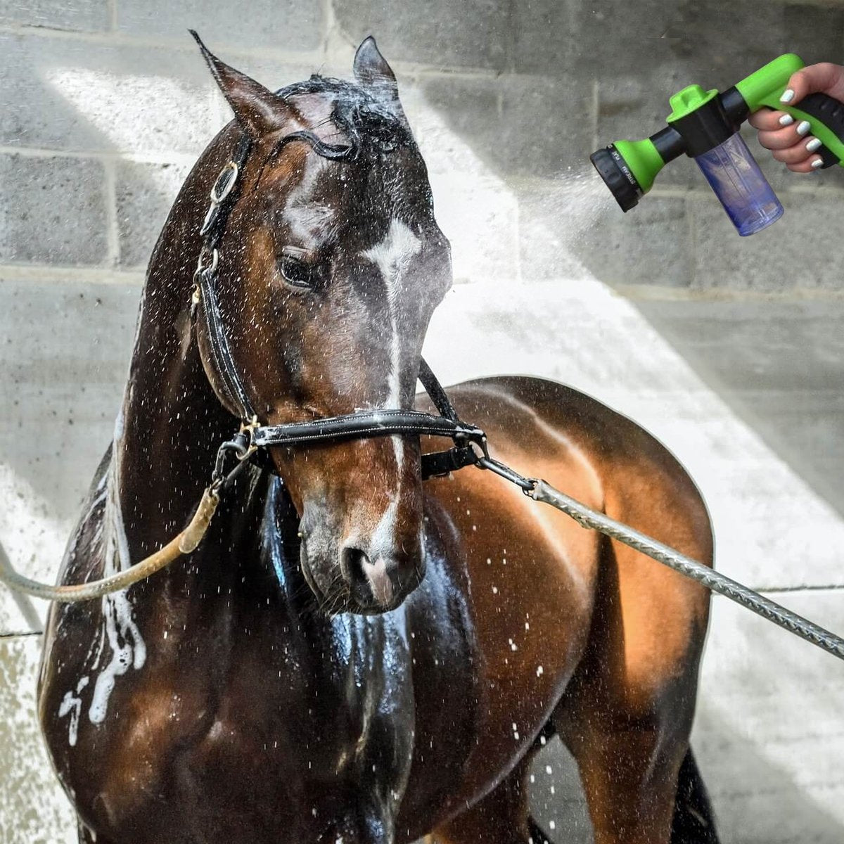 Nozoo Pony Jet - Was Je Paard als Nooit Tevoren - Groen