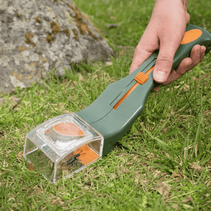 QuickCatch™ | Verwijder Insecten Zonder Problemen.
