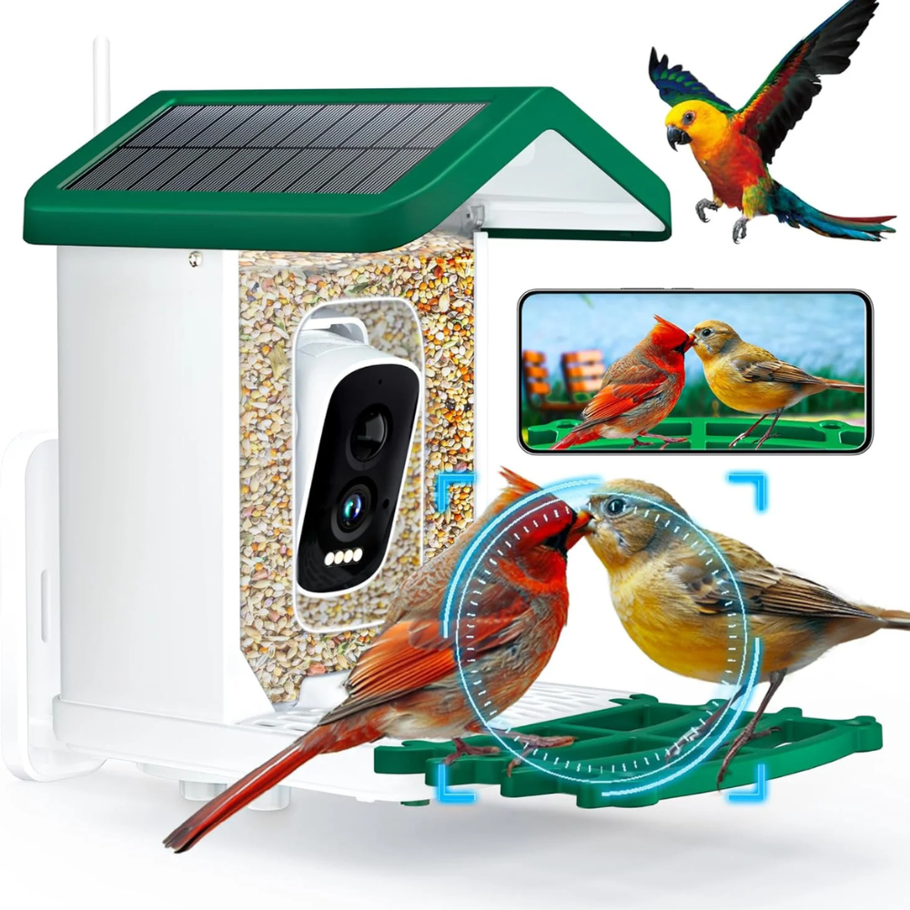 BirdEye Solar - Slimme Vogelvoerautomaat Camera met Zonne-energie – 2K HD, AI Herkenning & Weersbestendig