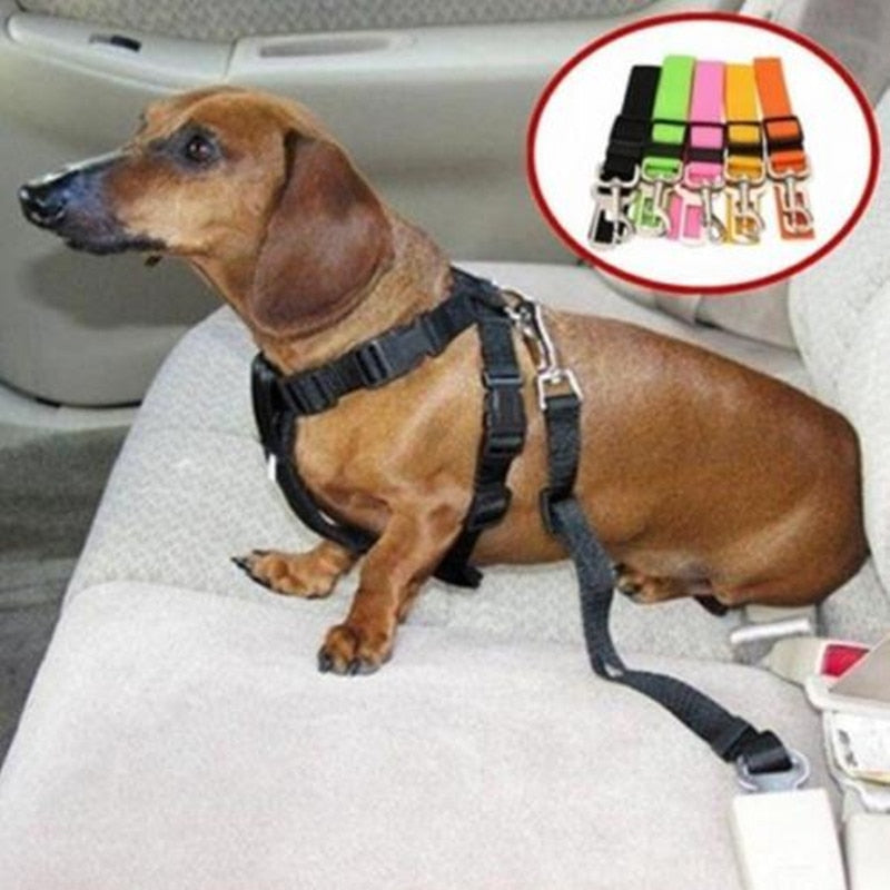 Hond Auto Veiligheidsgordel - Rood