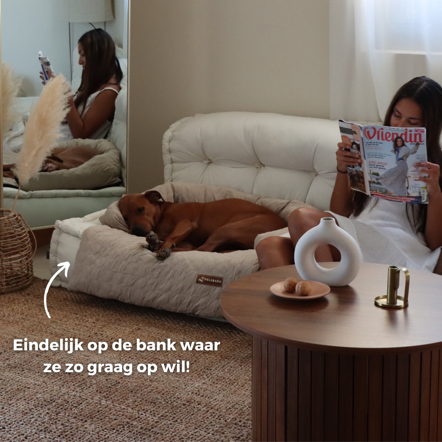 Verkoelend Honden Bed - Lichtblauw