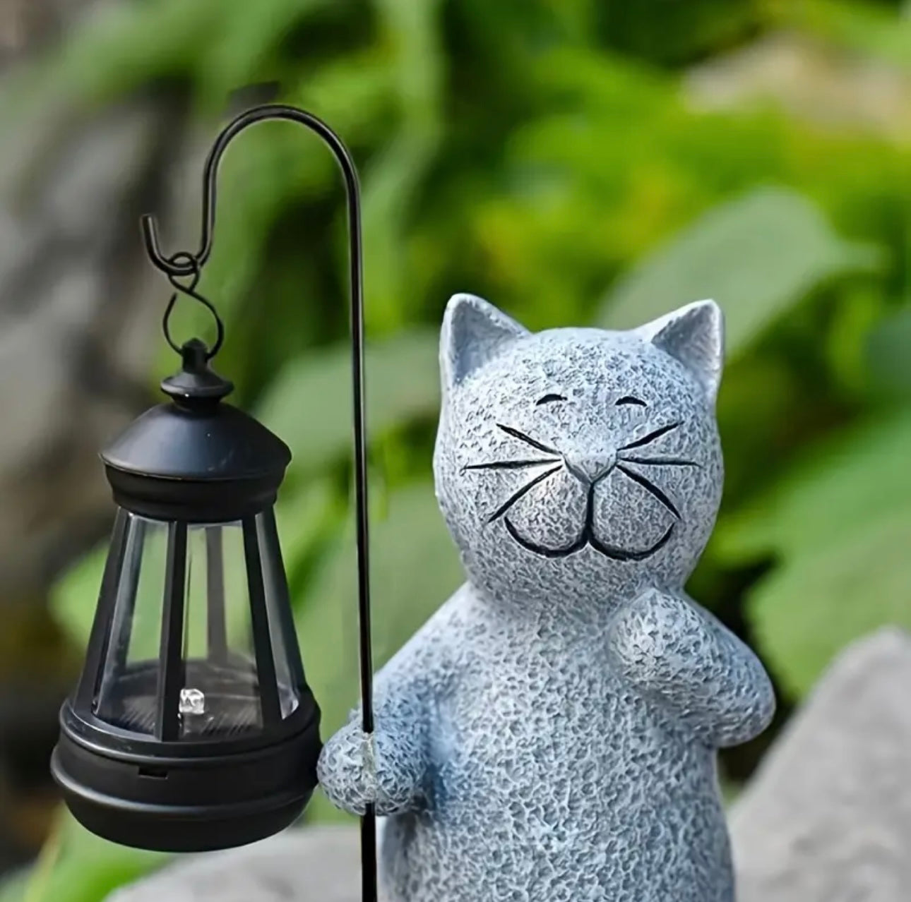 De Tuin Kat - Een Nieuwe Vriend in de Tuin