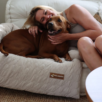 Verkoelend Honden Bed - Lichtblauw