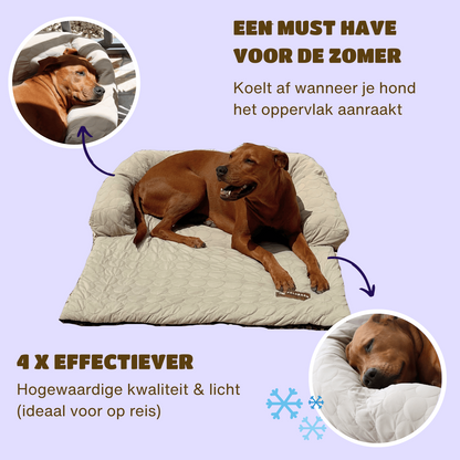 Verkoelend Honden Bed - Lichtblauw