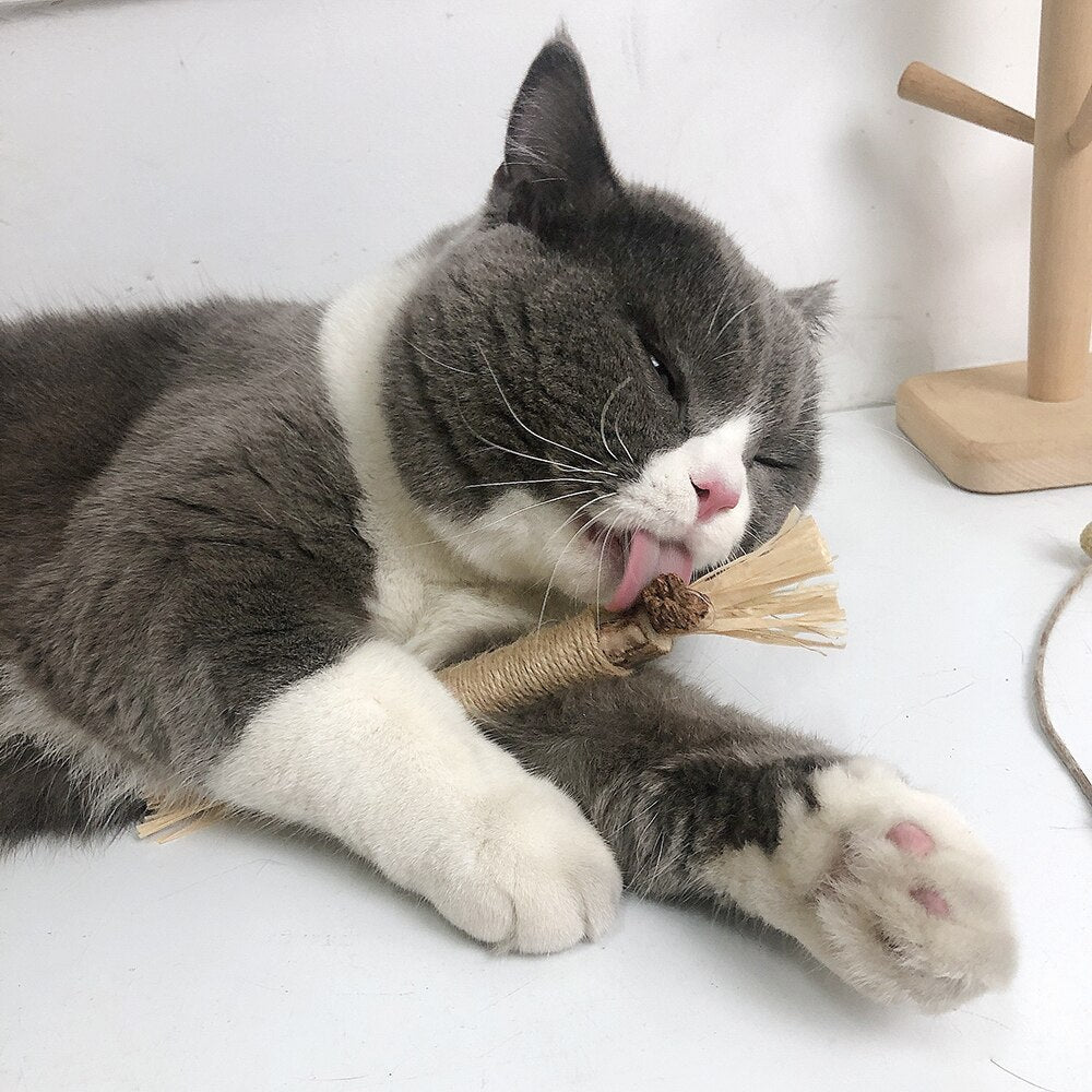 Krabpaal KittyBliss - Compacte & Duurzaam Kartonnen Krabpaal voor Katten