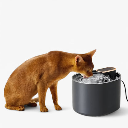 Verhoog de Hydratatie van Jouw Kat - Zwart