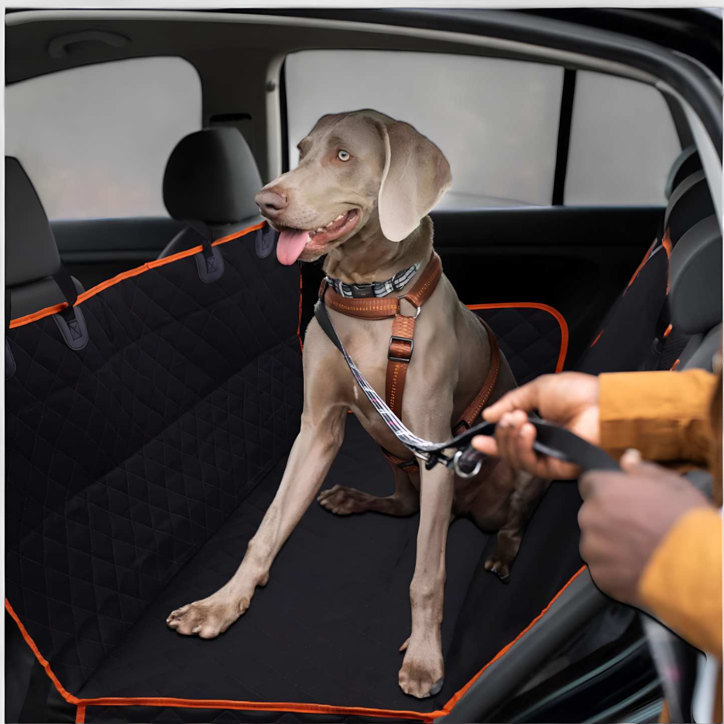 Autositzerweiterung voor Hunde - Komfortabel en Sicher Auf Reisen voor Deinen Hund
