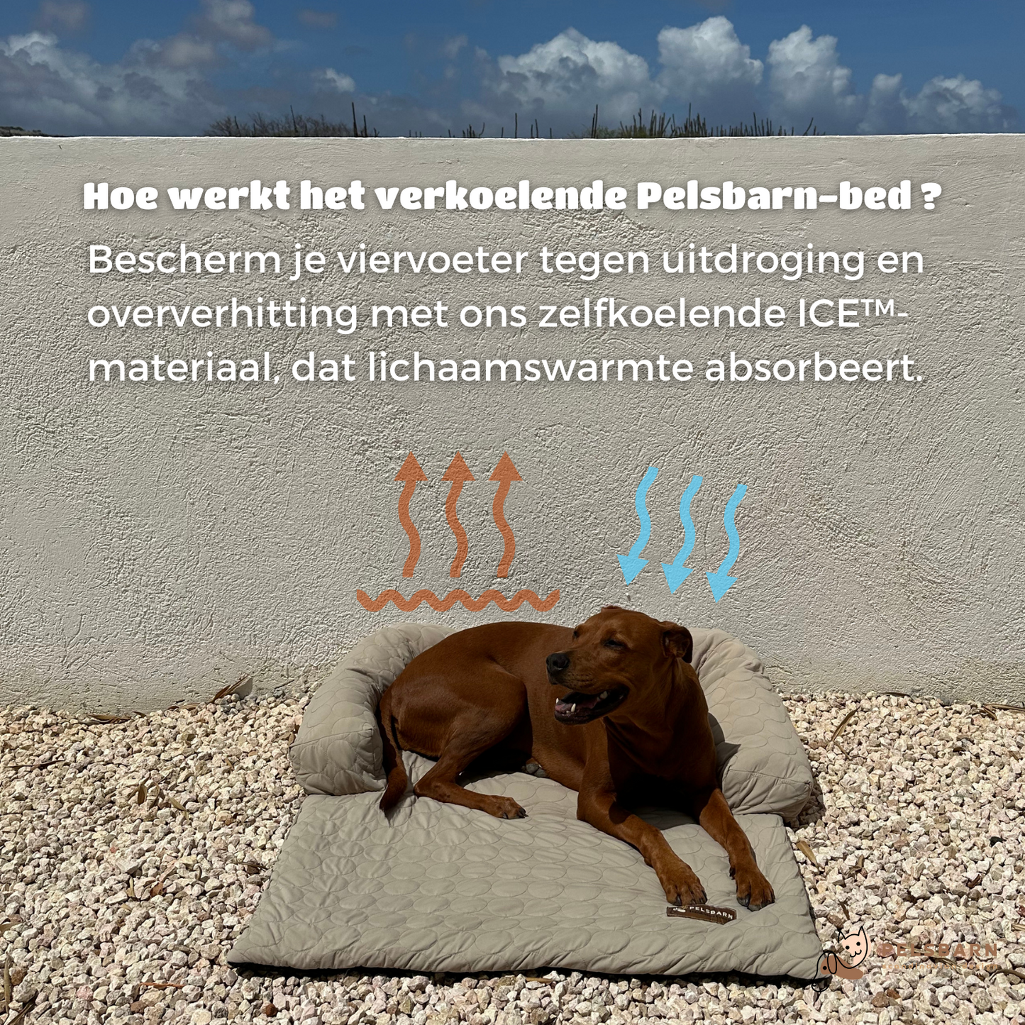 Verkoelend Honden Bed - Lichtblauw