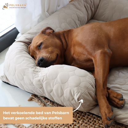Verkoelend Honden Bed - Lichtblauw