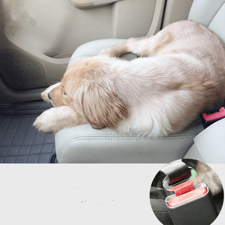 Hond Auto Veiligheidsgordel - Rood