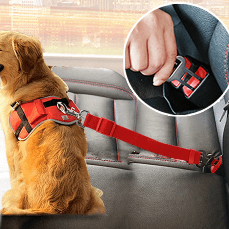Hond Auto Veiligheidsgordel - Rood