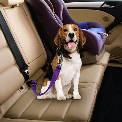 Hond Auto Veiligheidsgordel - Rood