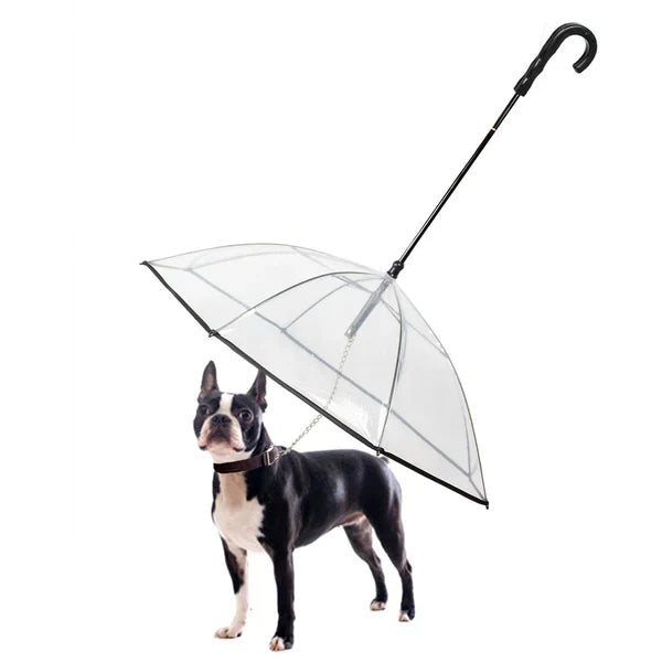 DogPlu™ | Dé Oplossing voor Regenwandelingen.