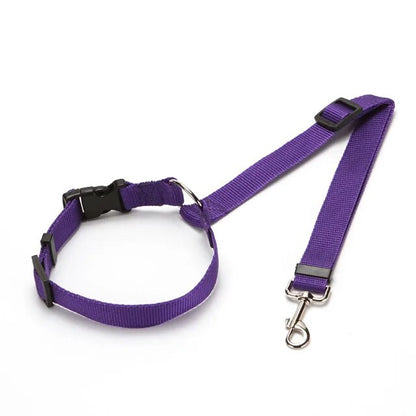 SecureBelt - Zwart - Dierenbenodigdheden