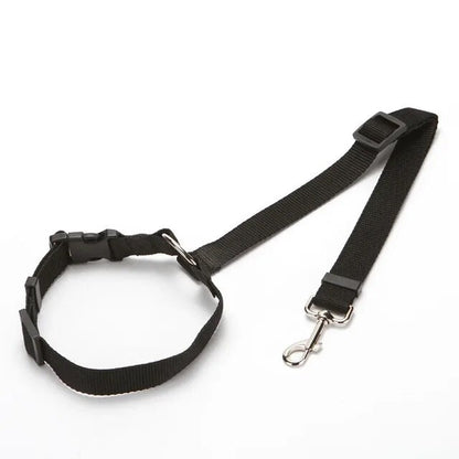 SecureBelt - Zwart - Dierenbenodigdheden