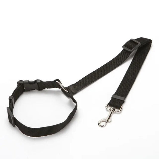 SecureBelt - Zwart - Dierenbenodigdheden