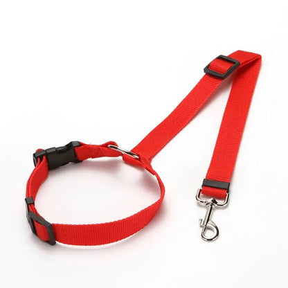 SecureBelt - Zwart - Dierenbenodigdheden