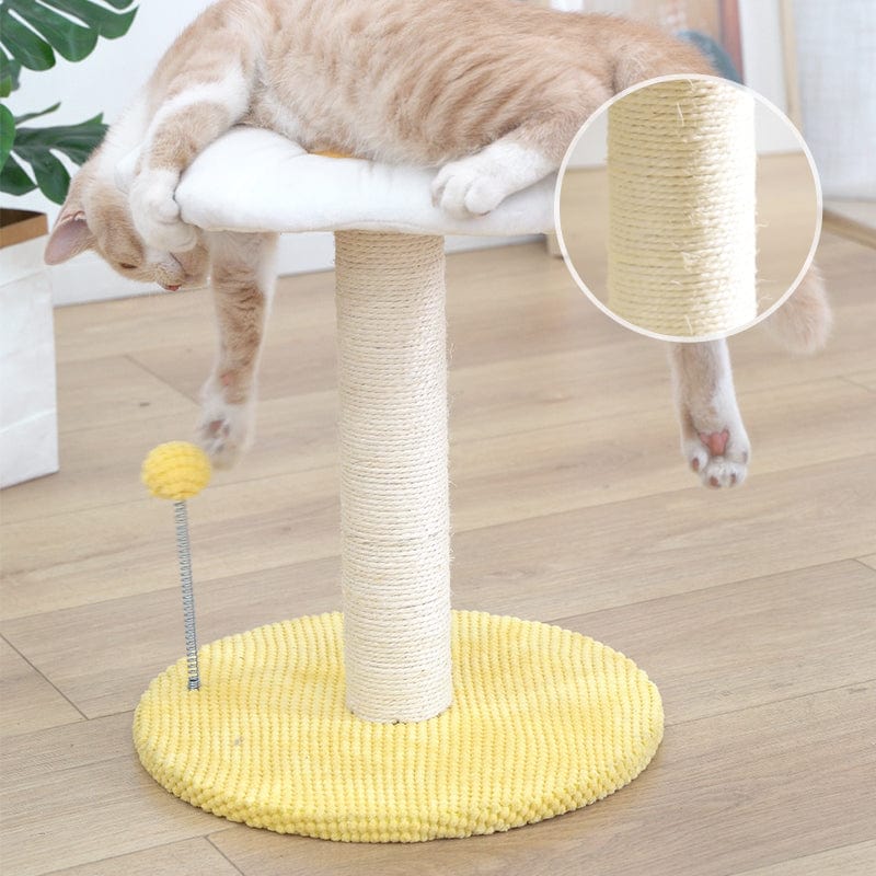 Ei Serie Kat Combo Katten