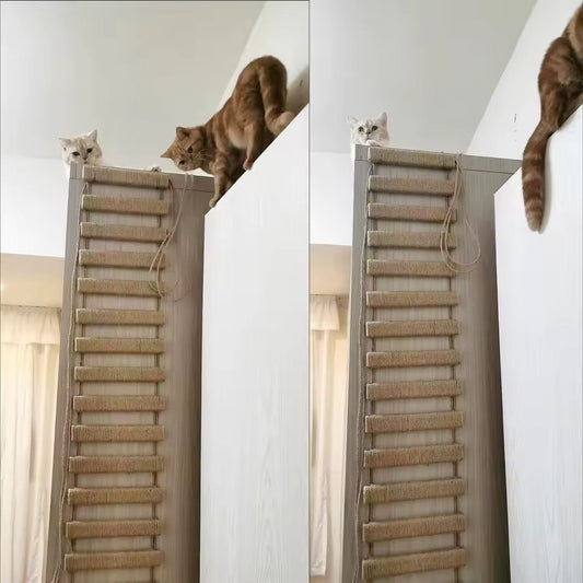 CatTrap™ | Laat Je Kat Genieten Van Eindeloos Klimplezier.