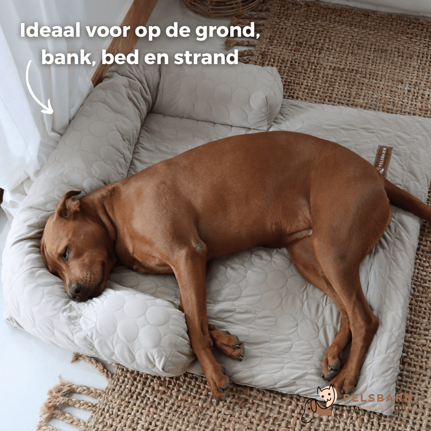 Verkoelend Honden Bed - Lichtblauw