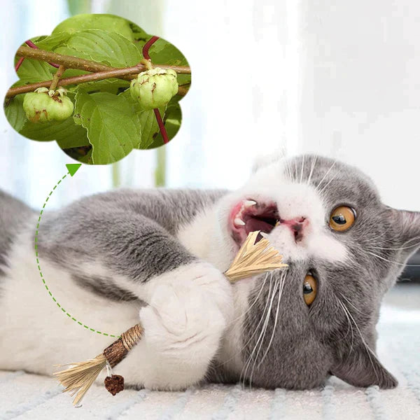 Krabpaal KittyBliss - Compacte & Duurzaam Kartonnen Krabpaal voor Katten