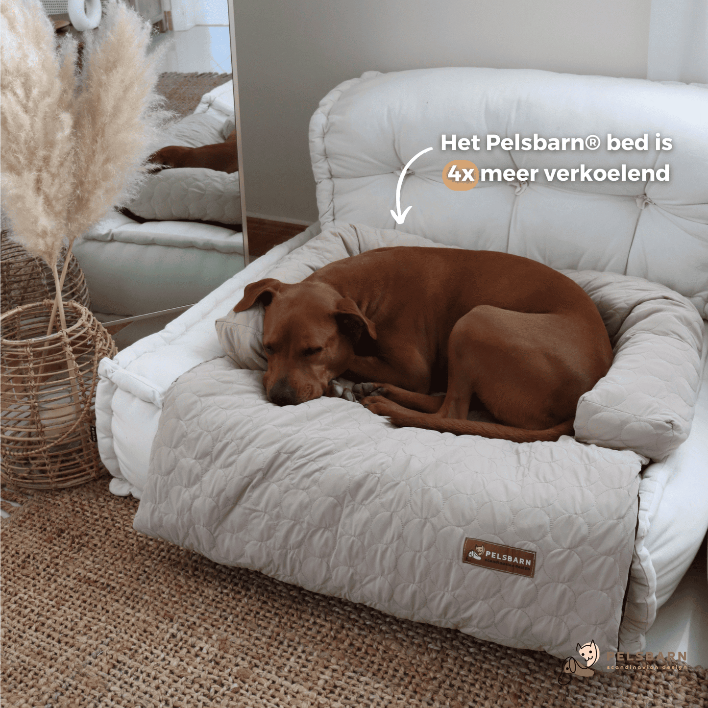 Verkoelend Honden Bed - Lichtblauw