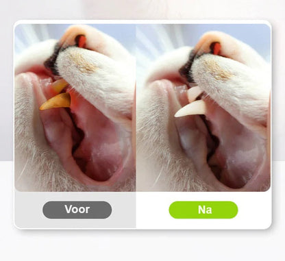 Krabpaal KittyBliss - Compacte & Duurzaam Kartonnen Krabpaal voor Katten